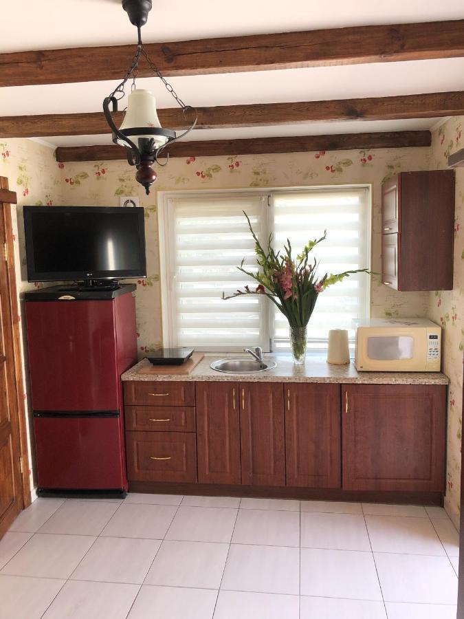 Apartments With Kitchen And Garden キエフ エクステリア 写真
